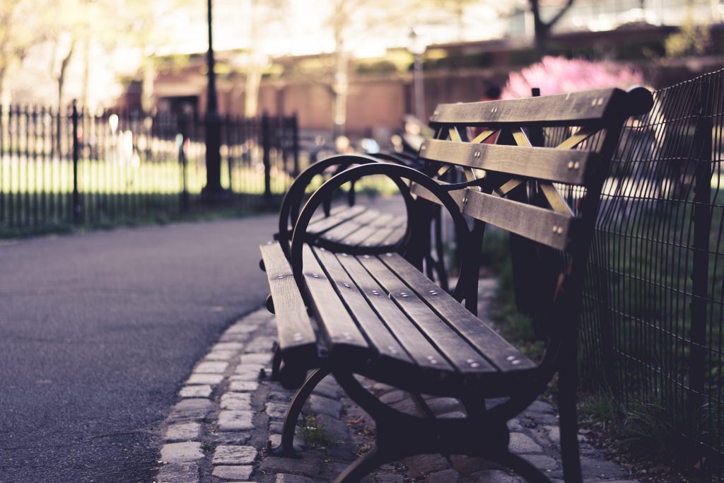 Bench at the american museum of natural history by james pond