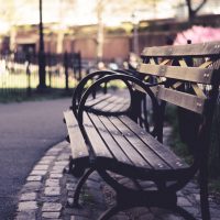 Bench at the american museum of natural history by james pond