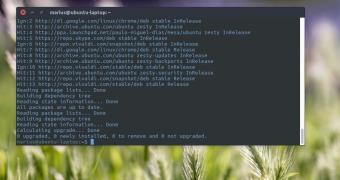 Debian and ubuntu patch critical sudo security vulnerability update now