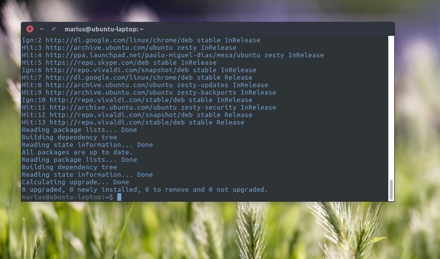 Debian and ubuntu patch critical sudo security vulnerability update now 527822 2