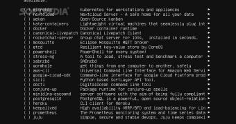 Canonical wants the ubuntu 20.04 lts server installer to be