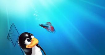 Linux developers start poaching microsoft users after windows 7 end