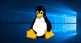 Goodbye windows another government plans en masse transition to linux