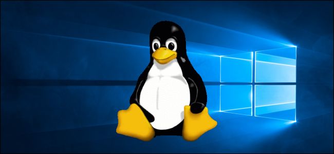 Goodbye windows another government plans en masse transition to linux 529150 2