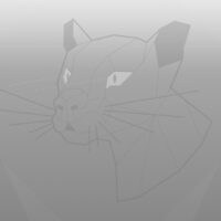 Focal-Fossa_WP_1920x1080_GREY