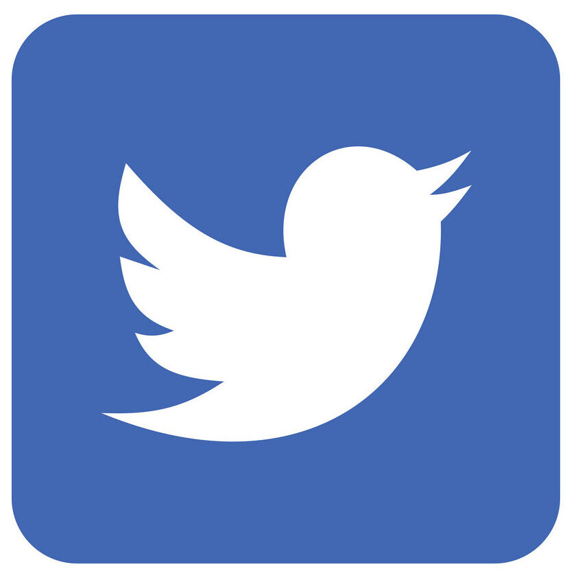 Twitter Linux Icon