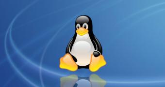 Linus torvalds announces massive linux kernel 58 update