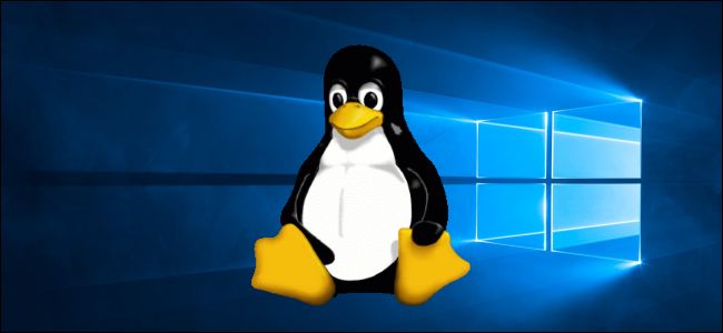 Why linux adoption skyrocketed in 2020 530152 2