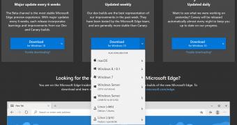 Microsoft edge browser preview now available on linux