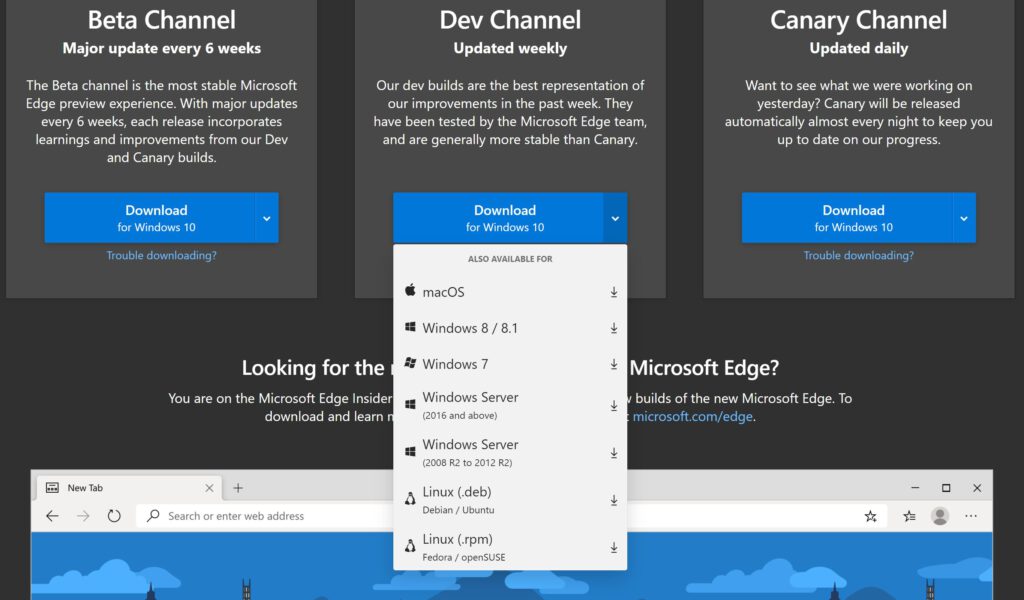 Microsoft edge browser preview now available on linux 531386 2 scaled