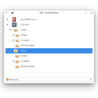 Dlna browser
