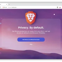 Brave privacy setting