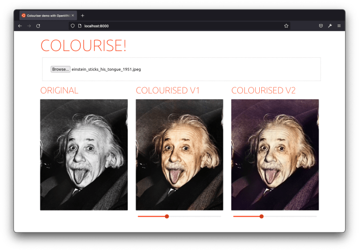 How to colourise black white pictures openvino on ubuntu