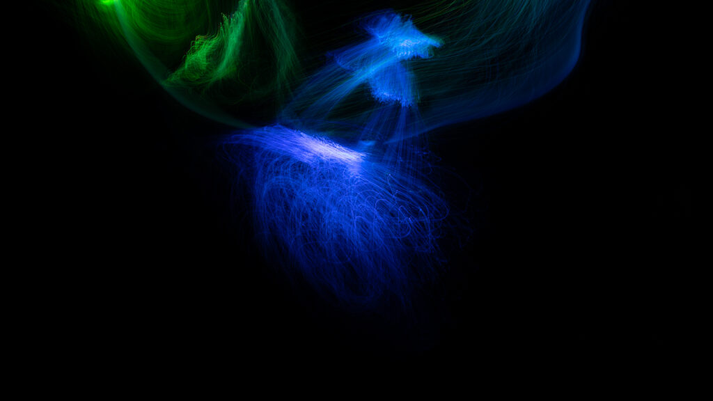 Optical fibers in dark by elena stravoravdi scaled