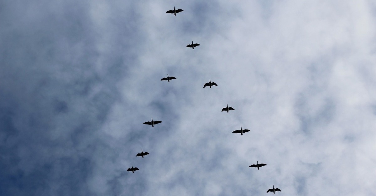 What is cloud repatriation? | Ubuntu