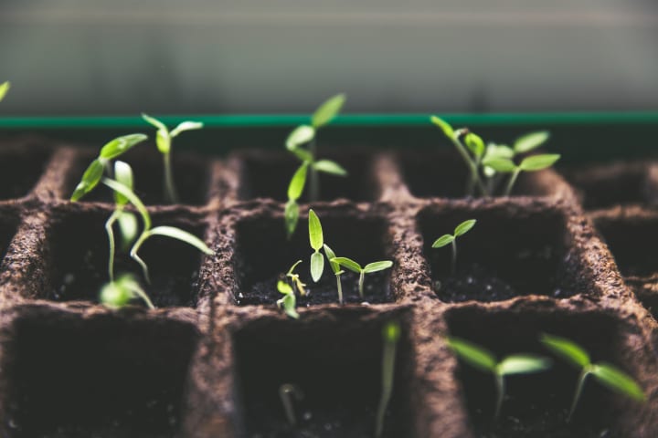 Spring news from the lxd team ubuntu