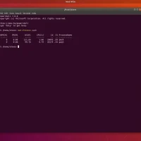 Powershell enter terminal - PowerShell on Ubuntu 24.04 Install Guide (2025)