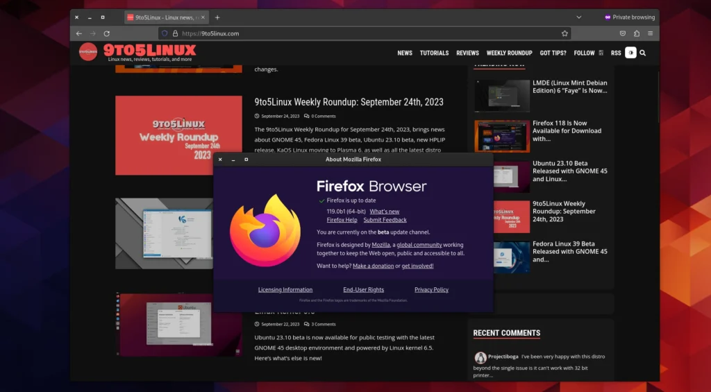 Firefox 119 promises to let you import some of your.webp