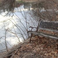 Lone bench