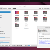 Dolphin ubuntu linux