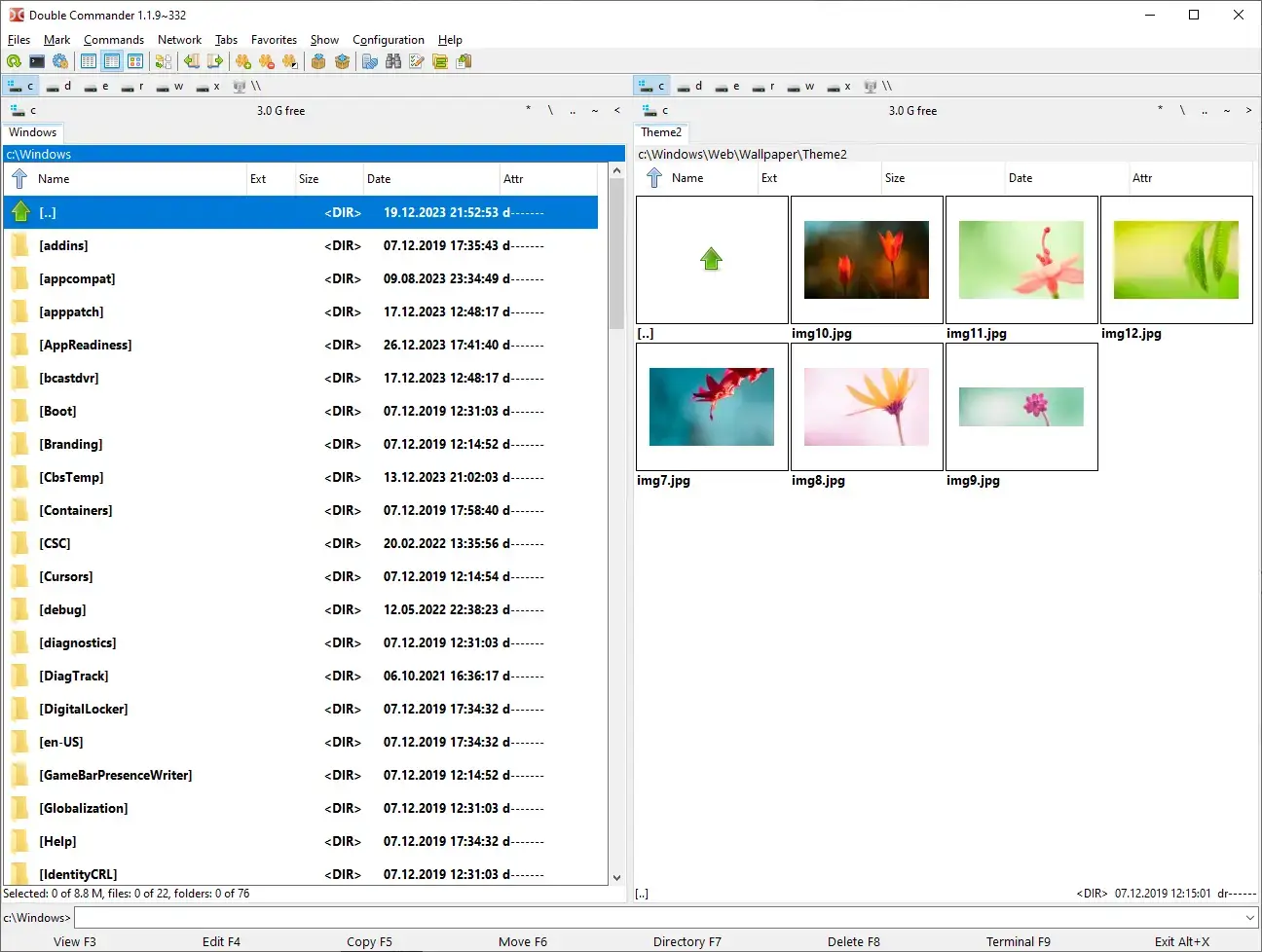 Double commander screenshot - Best File Managers for Ubuntu
