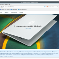 Falkon browser screenshot