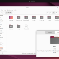 Nemo ubuntu linux