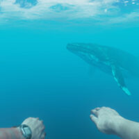 Stranded deep screenshot