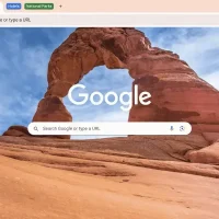 Google chrome browser ubuntu linux screenshot