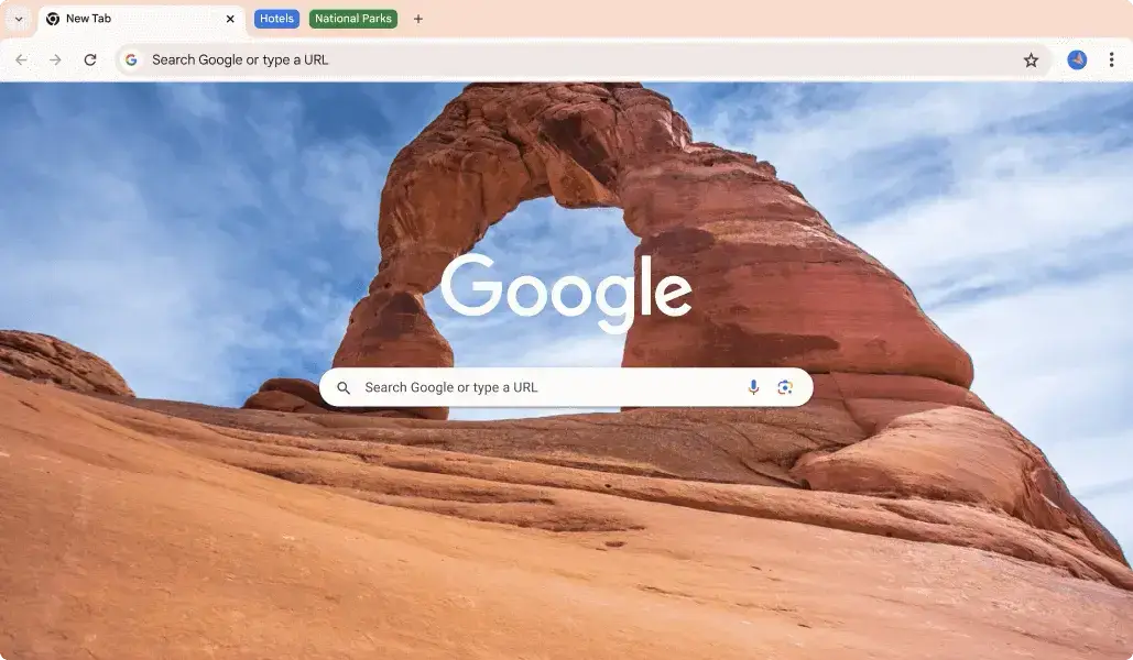 Google chrome browser ubuntu linux screenshot - Best Web Browsers for Ubuntu 24.04 in 2026