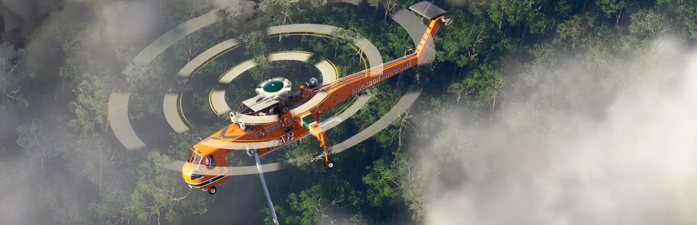 Microsoft Flight Simulator 2024 gameplay on Ubuntu