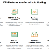 A2 vps features