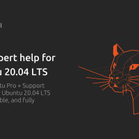 Flowstate:ubuntu 20.04 lts, unstoppable