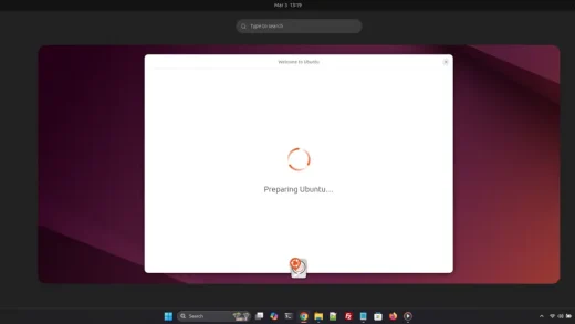 Distrosea.com ubuntu screenshot demo