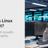 Rewrite this title to make it engaging and appealing for