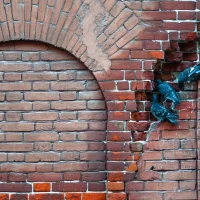 Brick wall by roman vizer