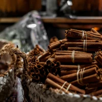 Cinnamon by roman vizer