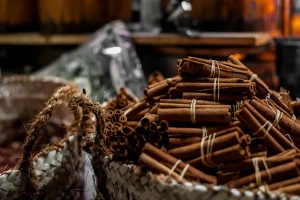 Cinnamon by roman vizer