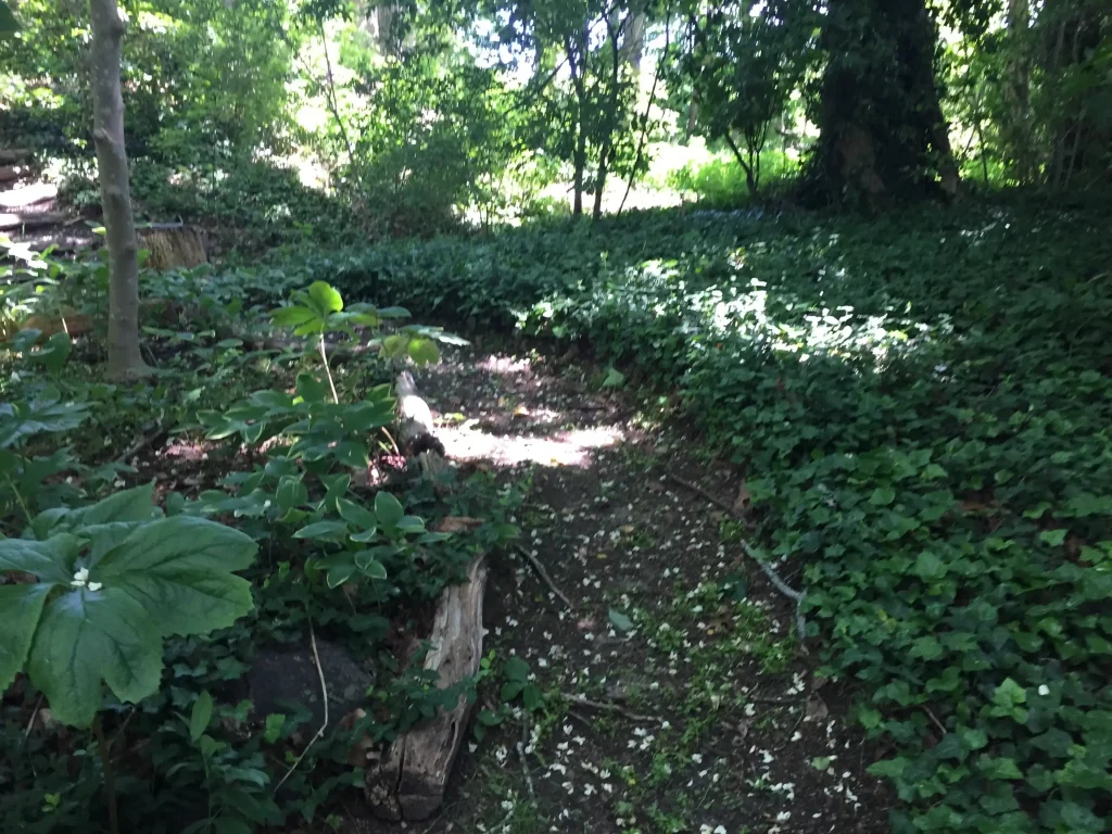 Garden passage by joshua peisach