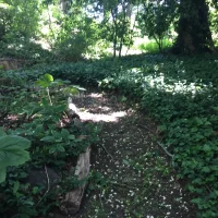 Garden passage by joshua peisach