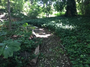 Garden passage by joshua peisach
