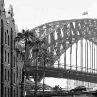 Harbour bridge from the rocks by joshua lowe
