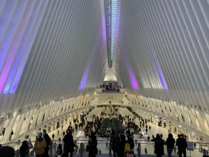 Oculus plaza by joshua peisach