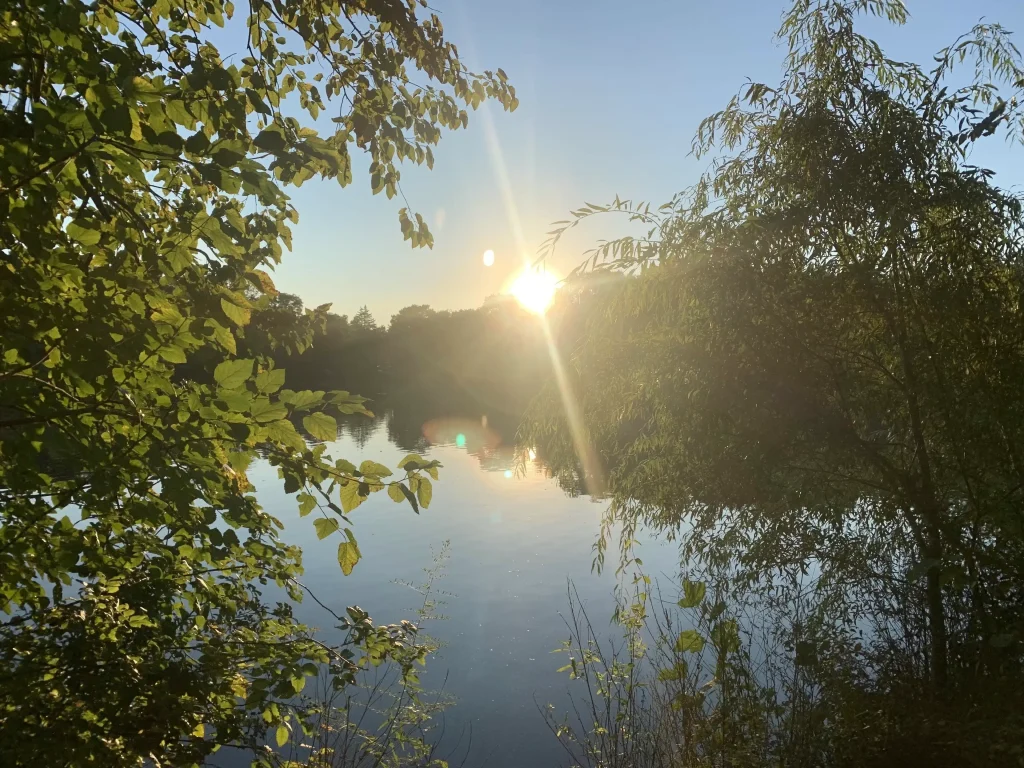 Pond sunset by joshua peisach