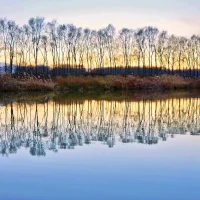 Autumn dusk
