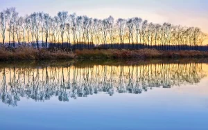 Autumn dusk