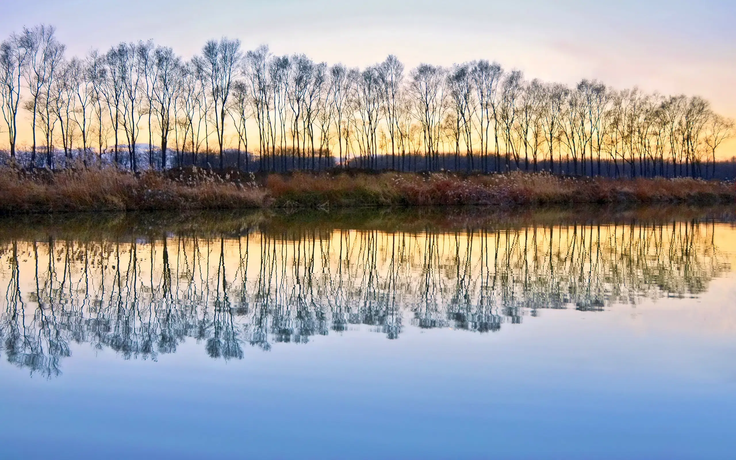 Autumn dusk
