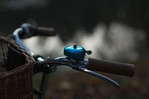 Bicycle bell by joanna m