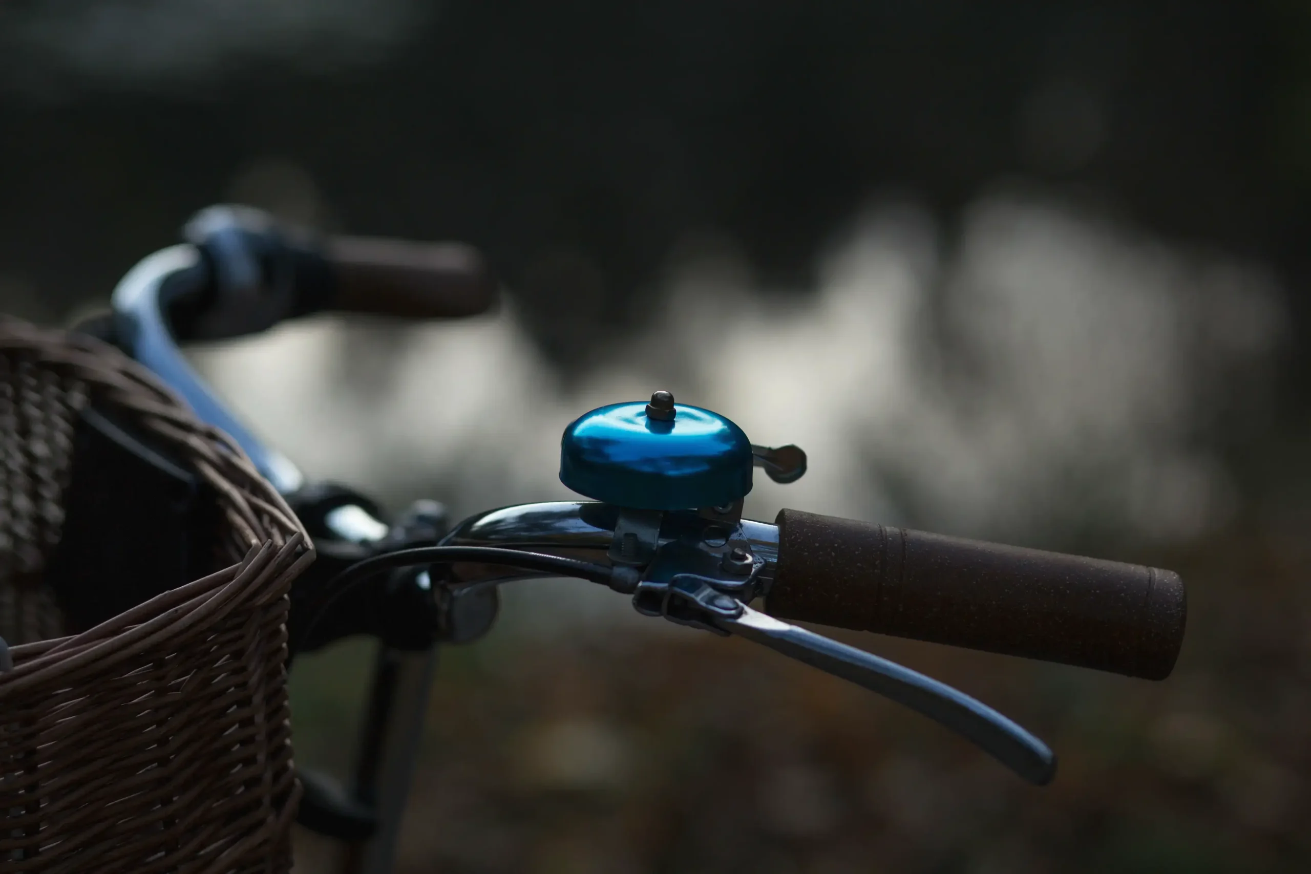 Bicycle bell by joanna m