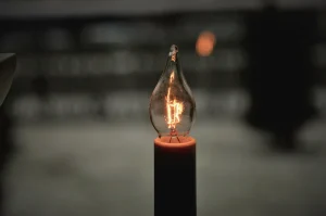 Bulb by jonathan petersson